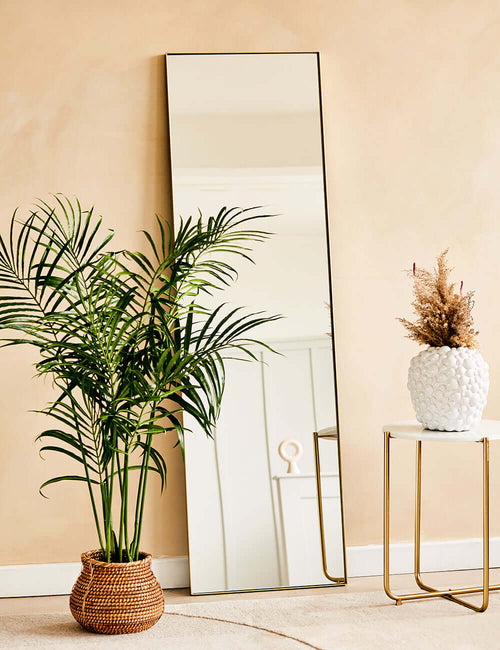 Rectangular Floor Mirror