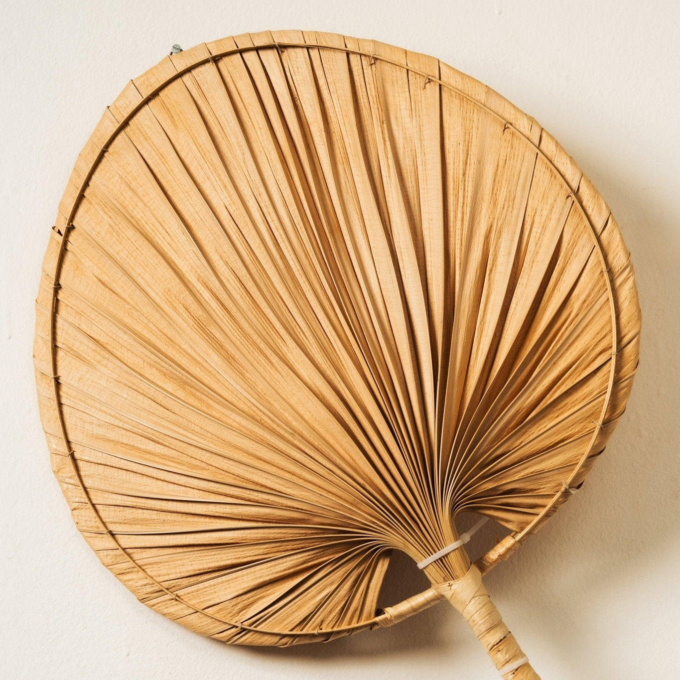 Handcrafted Palm Leaf Wall Light - Natural Tropical Lampshade