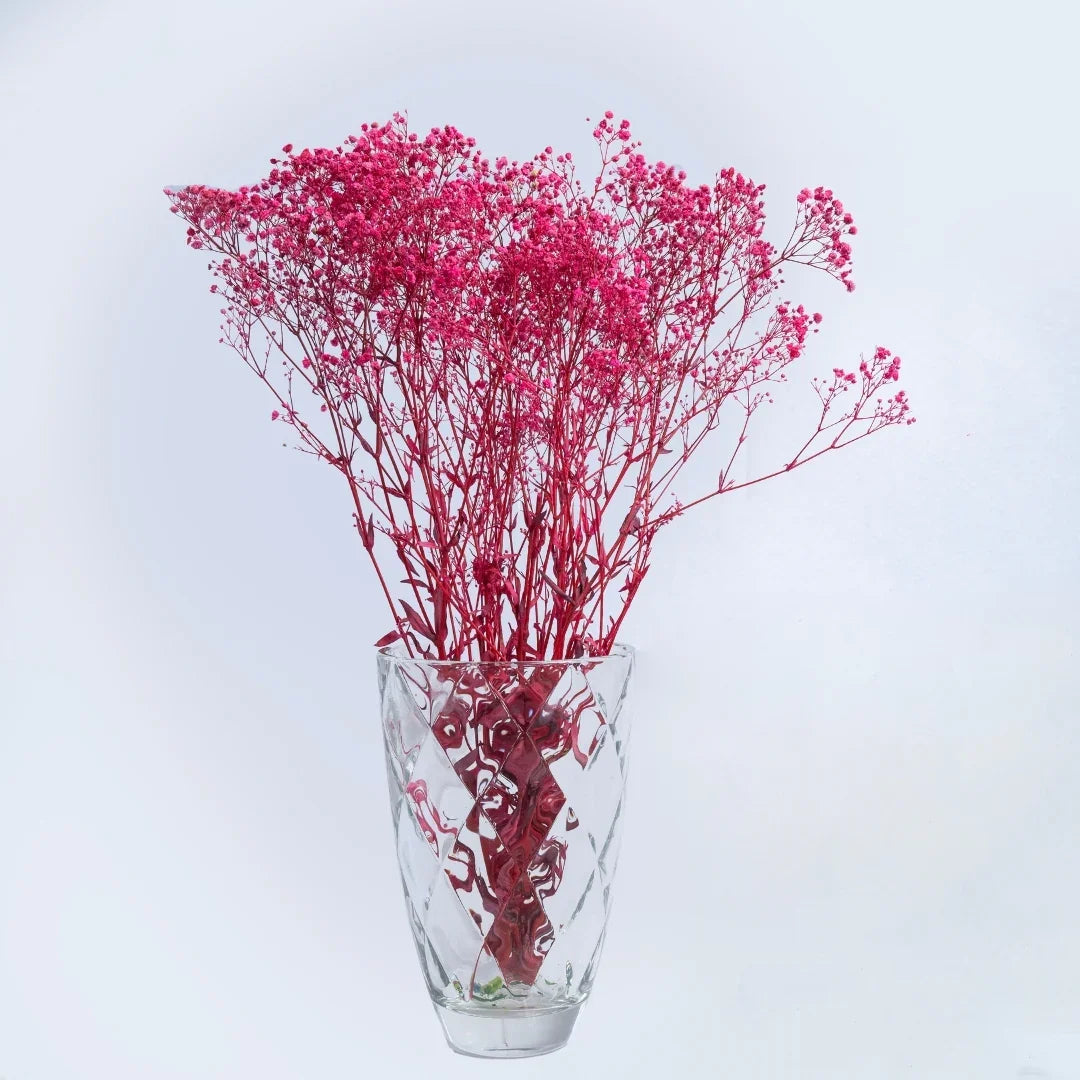 Preserved Baby's Breath