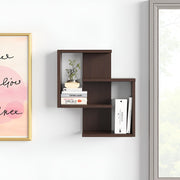 Wall Mounted Floating Shelf with Storage Adya