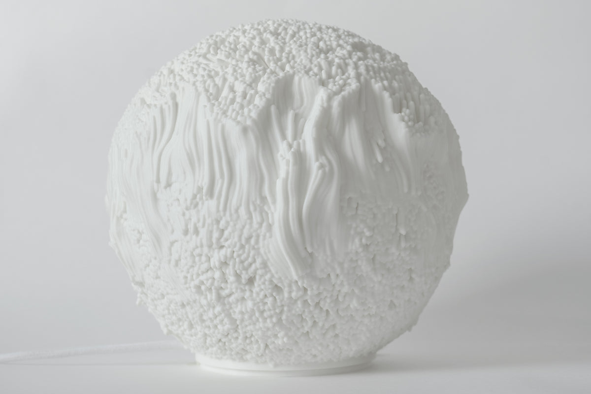 Reef Sculpted Lamp