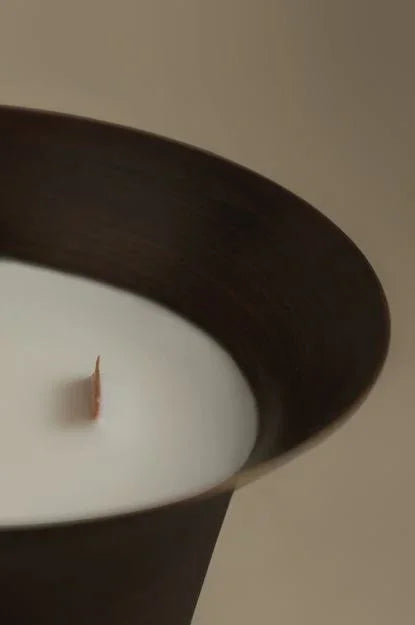 Japanese Honeysuckle