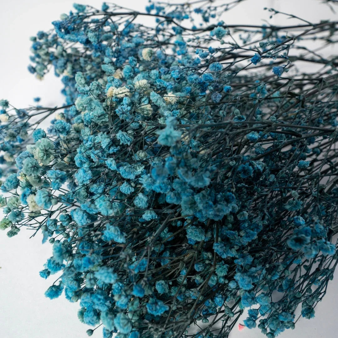 Preserved Baby's Breath
