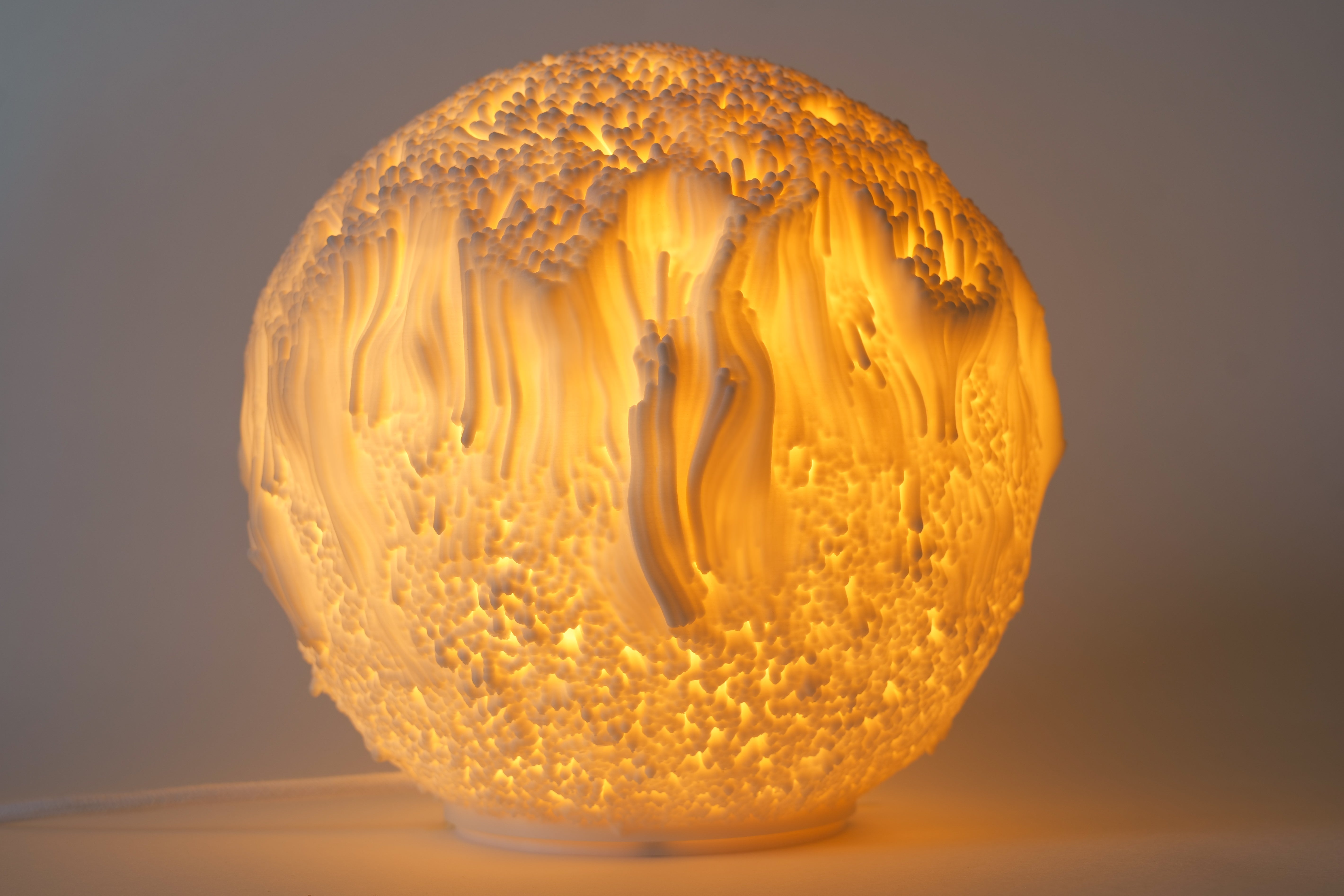 Reef Sculpted Lamp