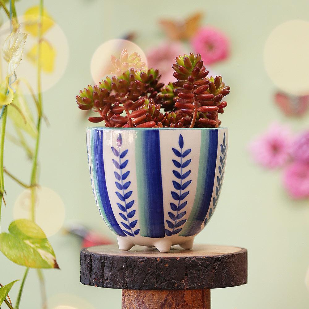 Aquatic Sea Handpainted Ceramic Planter | Multicolor Indoor Flower Pot | Ceramic Plant Pot
