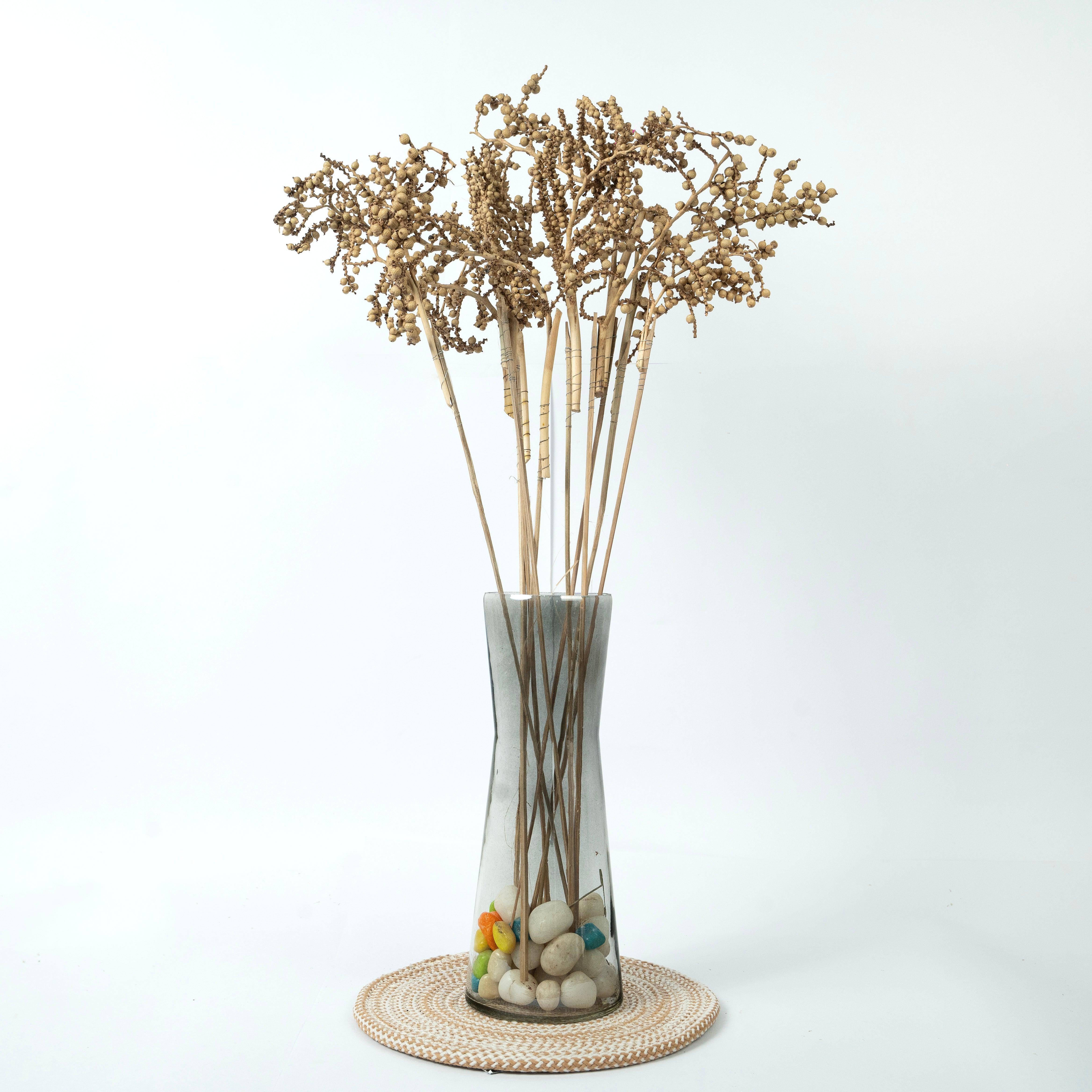 Natural Living Dried Canella Sticks | Home Decor Floral Arrangements Set of 10 Dried Sticks