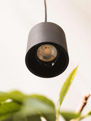 Blaze 20W LED Pendant Light | Indoor Plant Hanging Lamp with Warm & Cool Tones