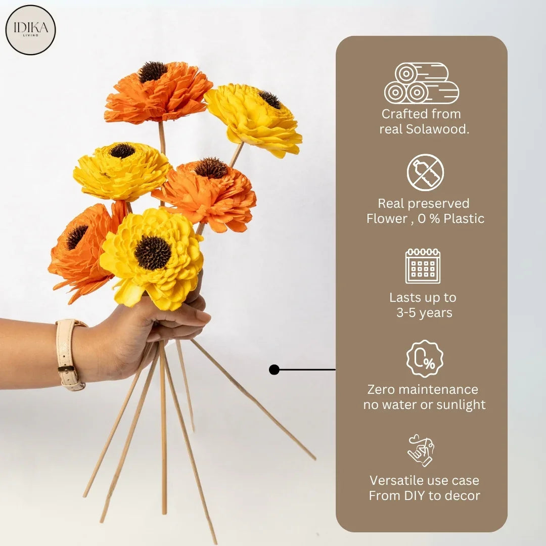 Dagji - 8 cm | Orange and Yellow