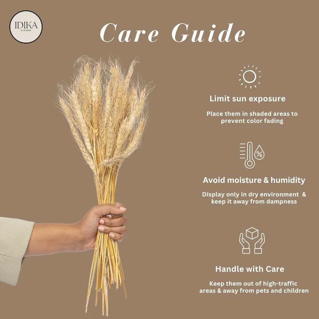 Wheat Grass | Natural