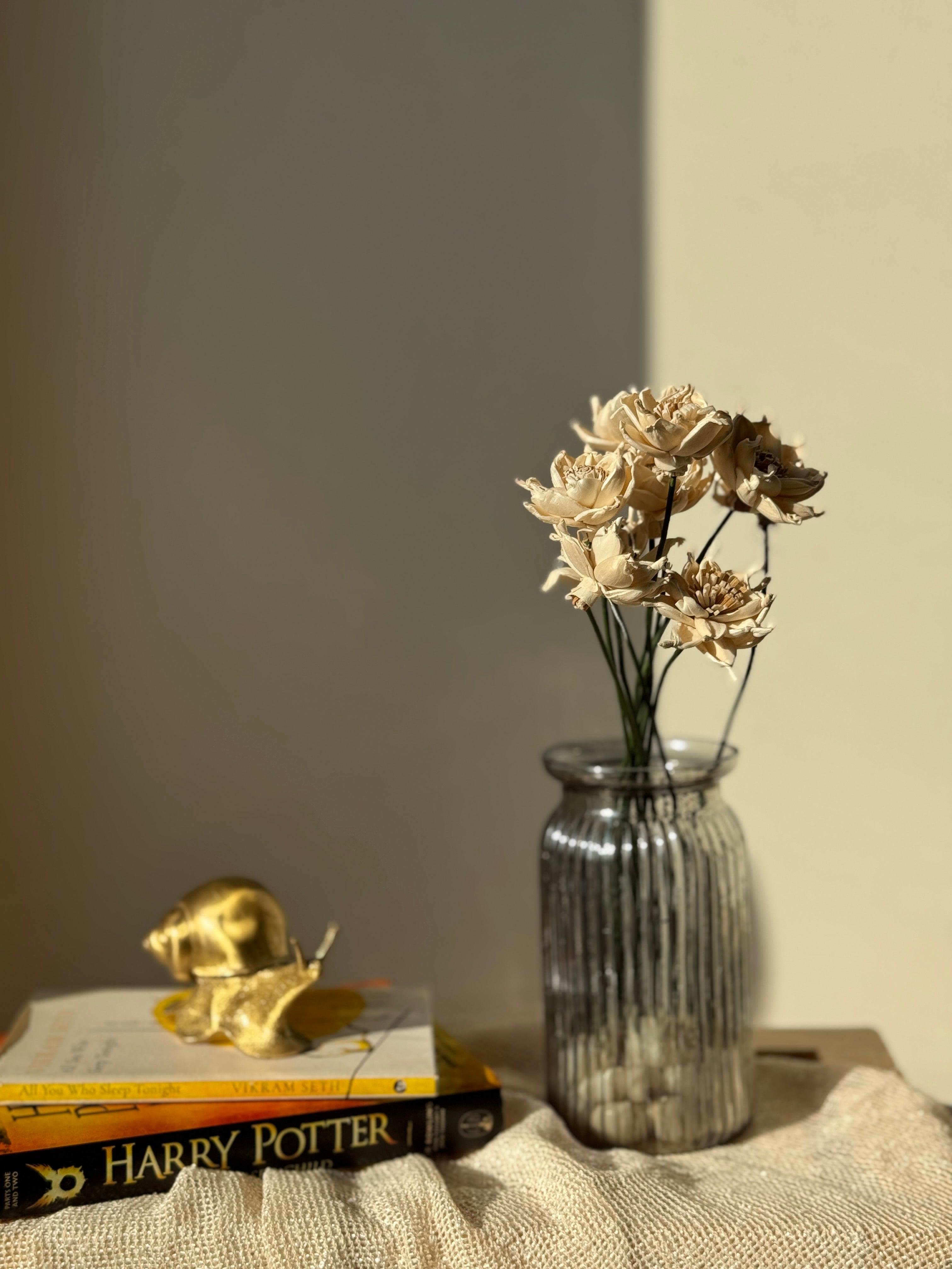 Sola Whistle Flower | White