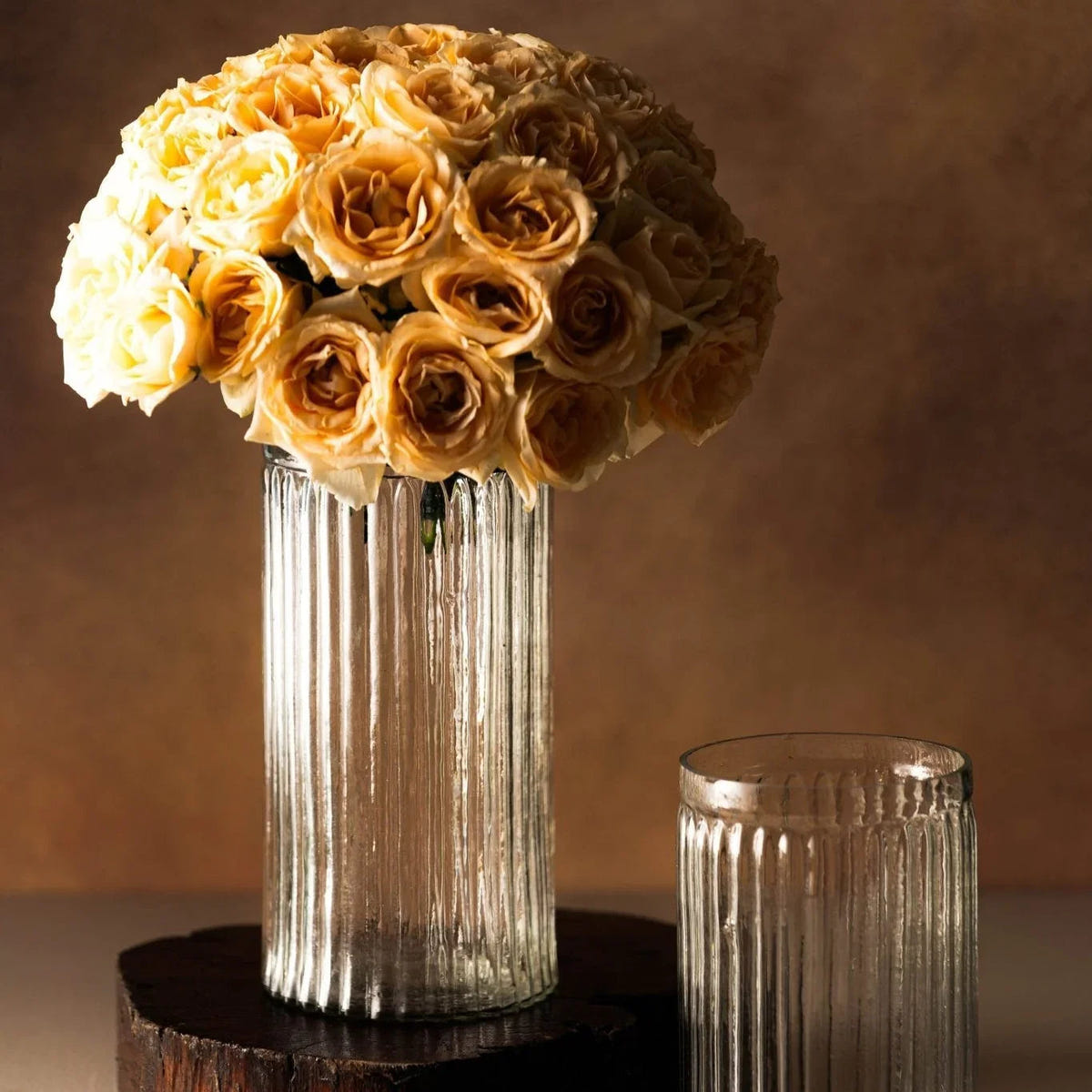 Glass Vase Set of 2 | Translucent Decorative Flower Vases for Living Room | Flower Pot