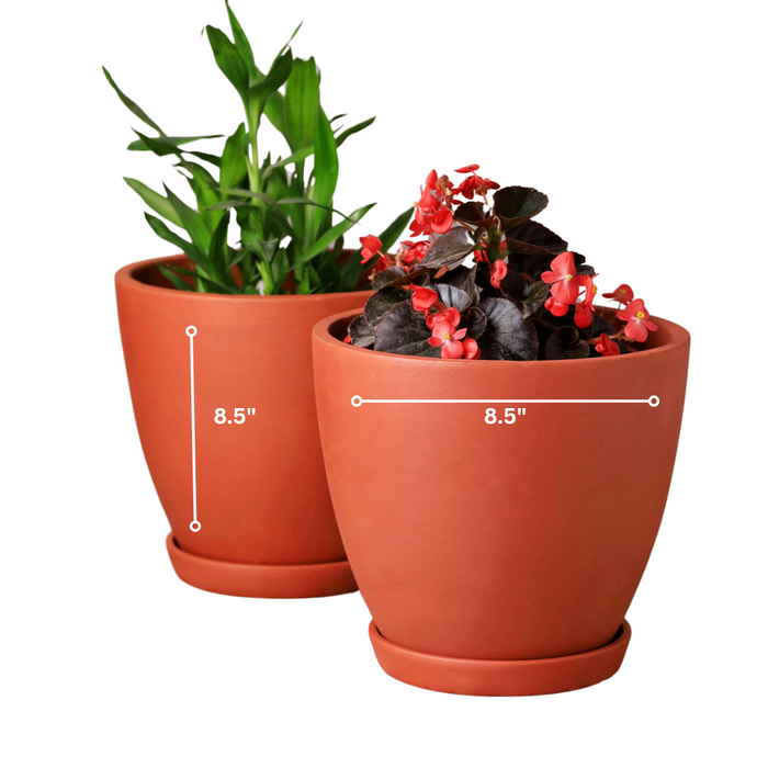 Hexane Planter