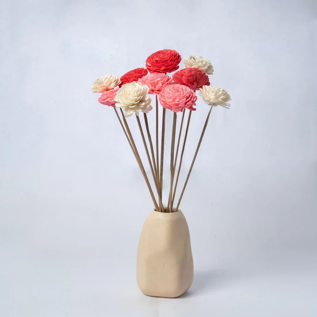 Bailey - 6 cm | Baby Pink, Pink and White