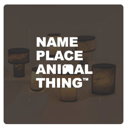 Name Place Animal Thing