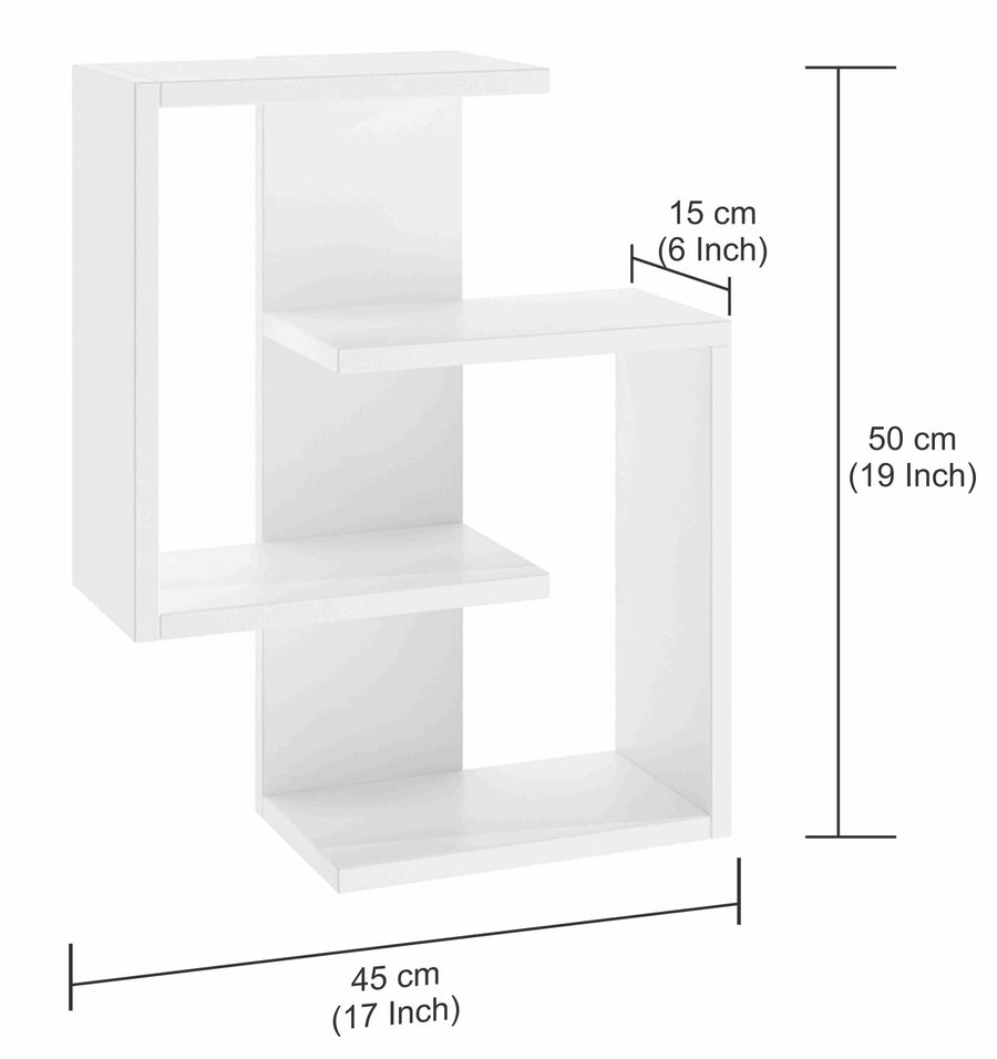 Wall Mounted Floating Shelf with Storage Adya