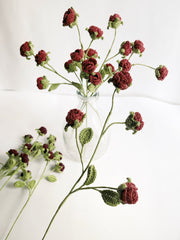 Mini Rose Stick Set Of 2