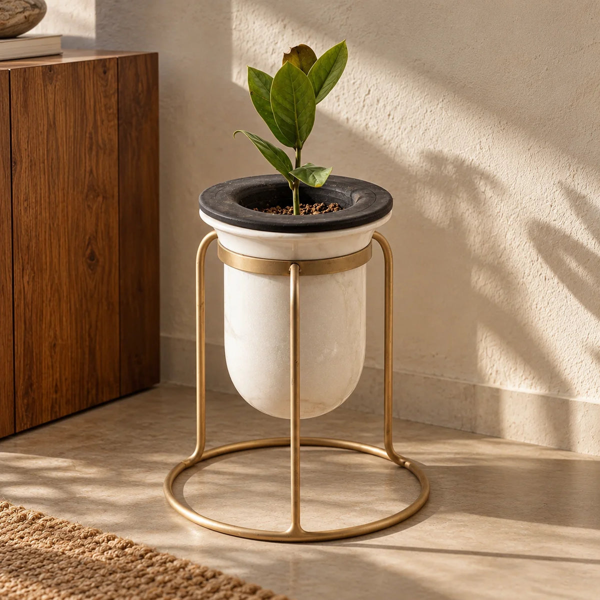 Birbal Planter