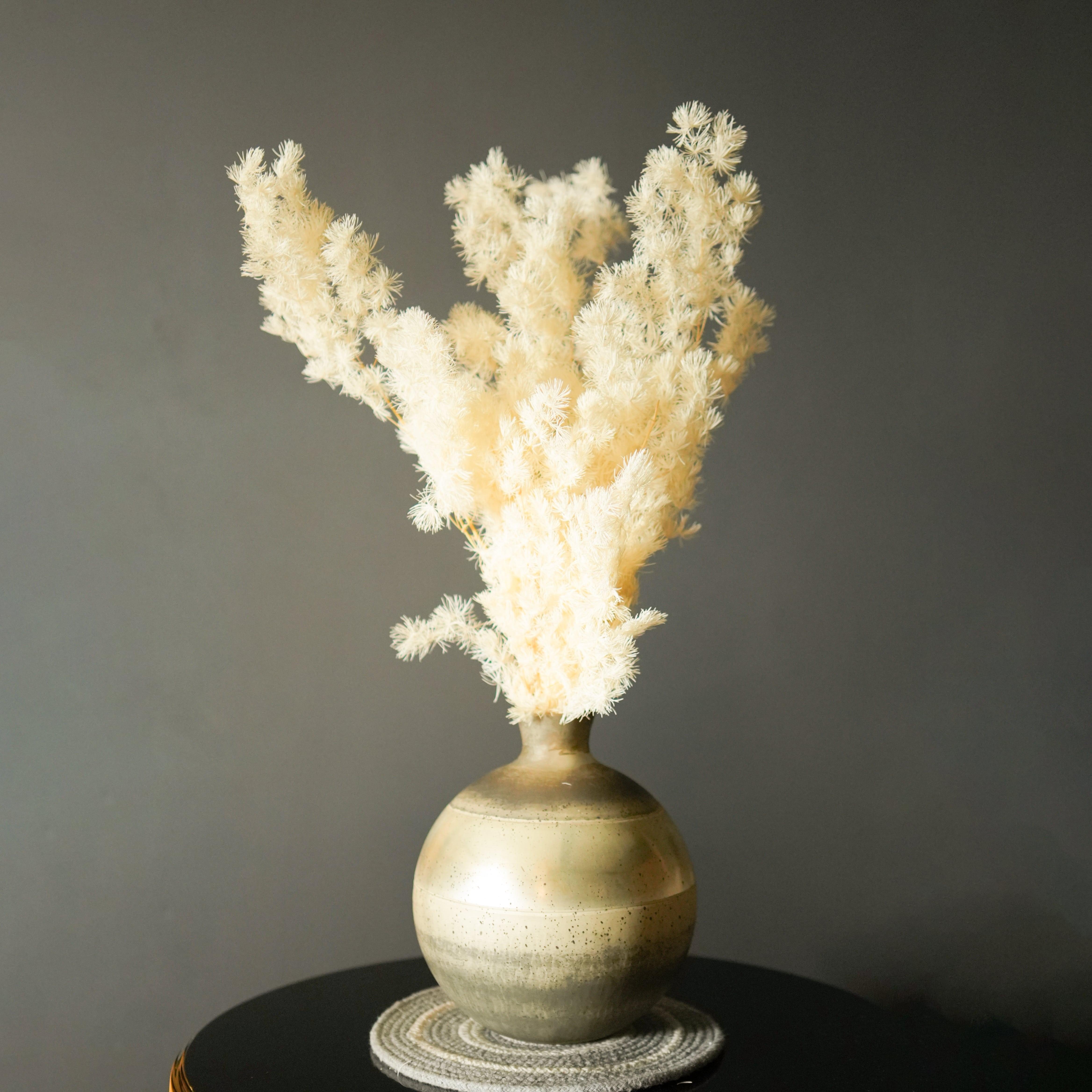 Asparagus Fern-White Dried Flowers fro Vase