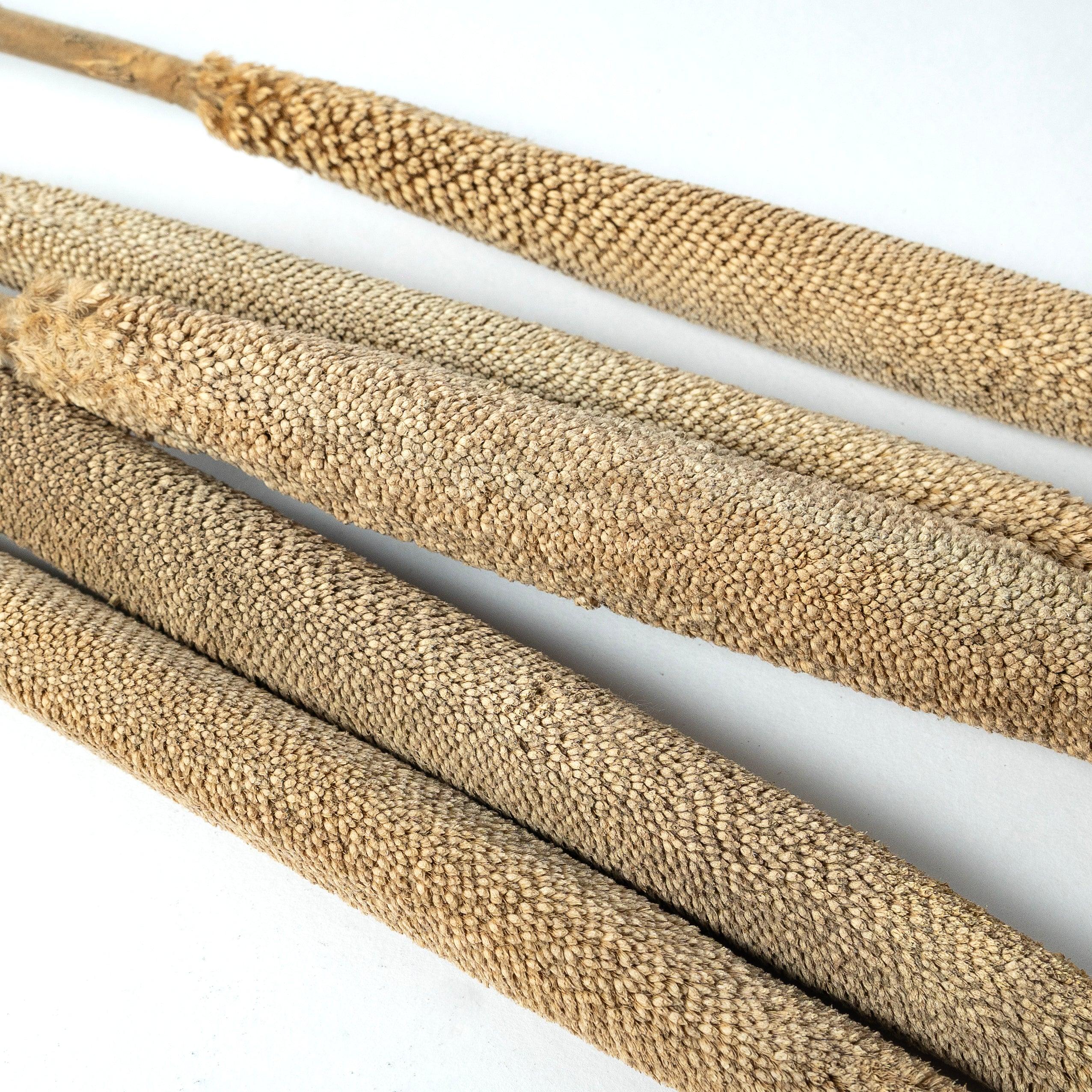 Exotic Bajra - Natural | Vase Fillers