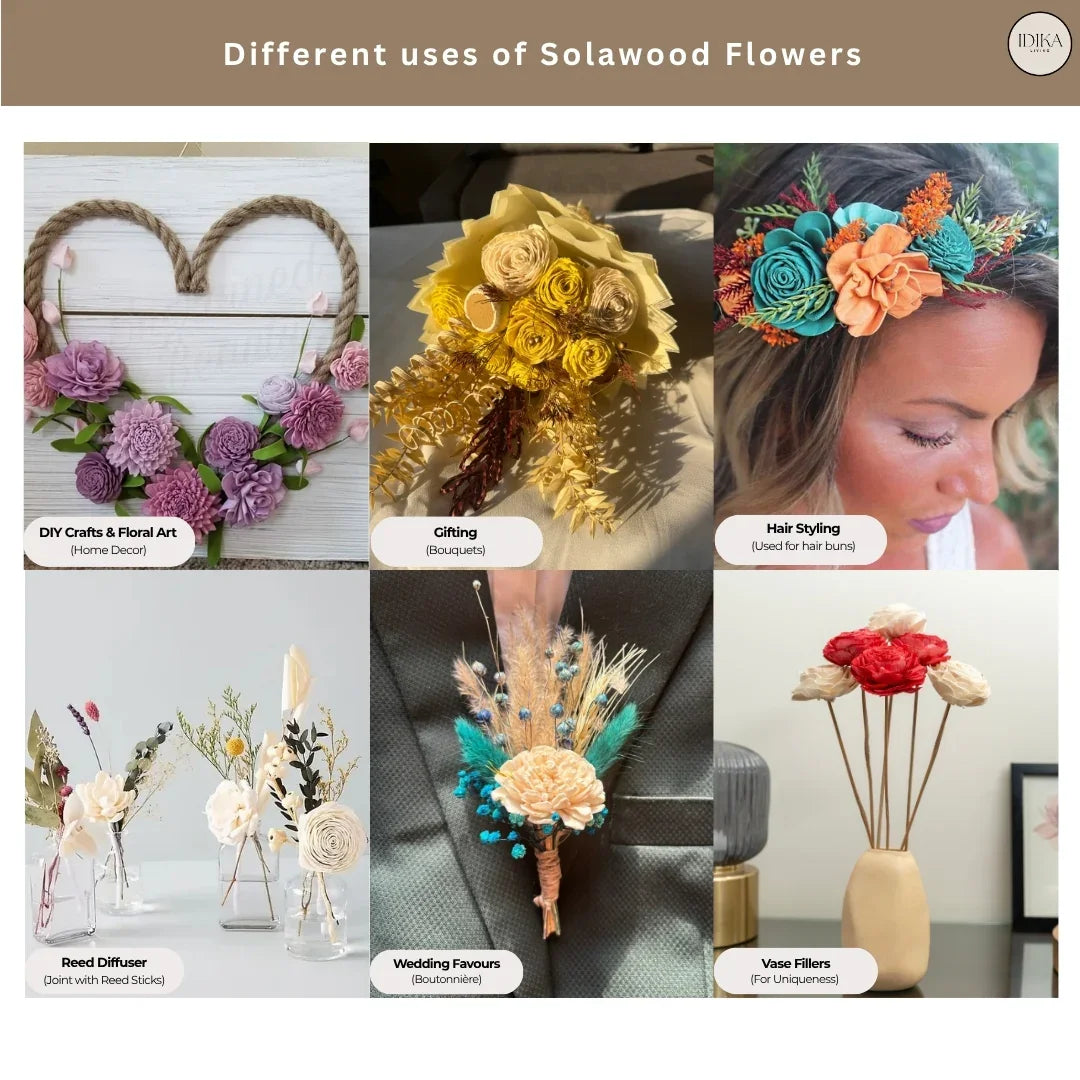 Beauty Rose - 8 cm | Red and White