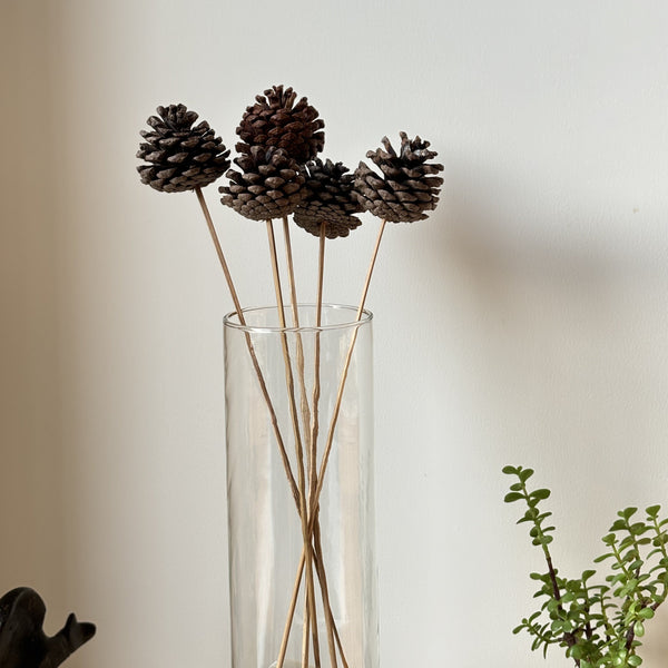 Pine Cone - Natural | Set of 5 sticks