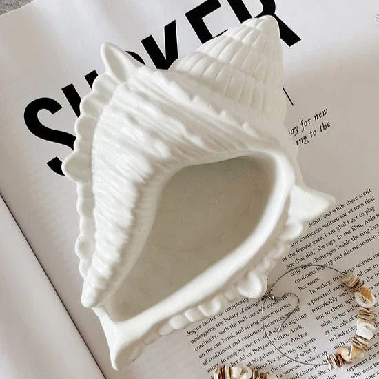 Concrete Conch | Concrete