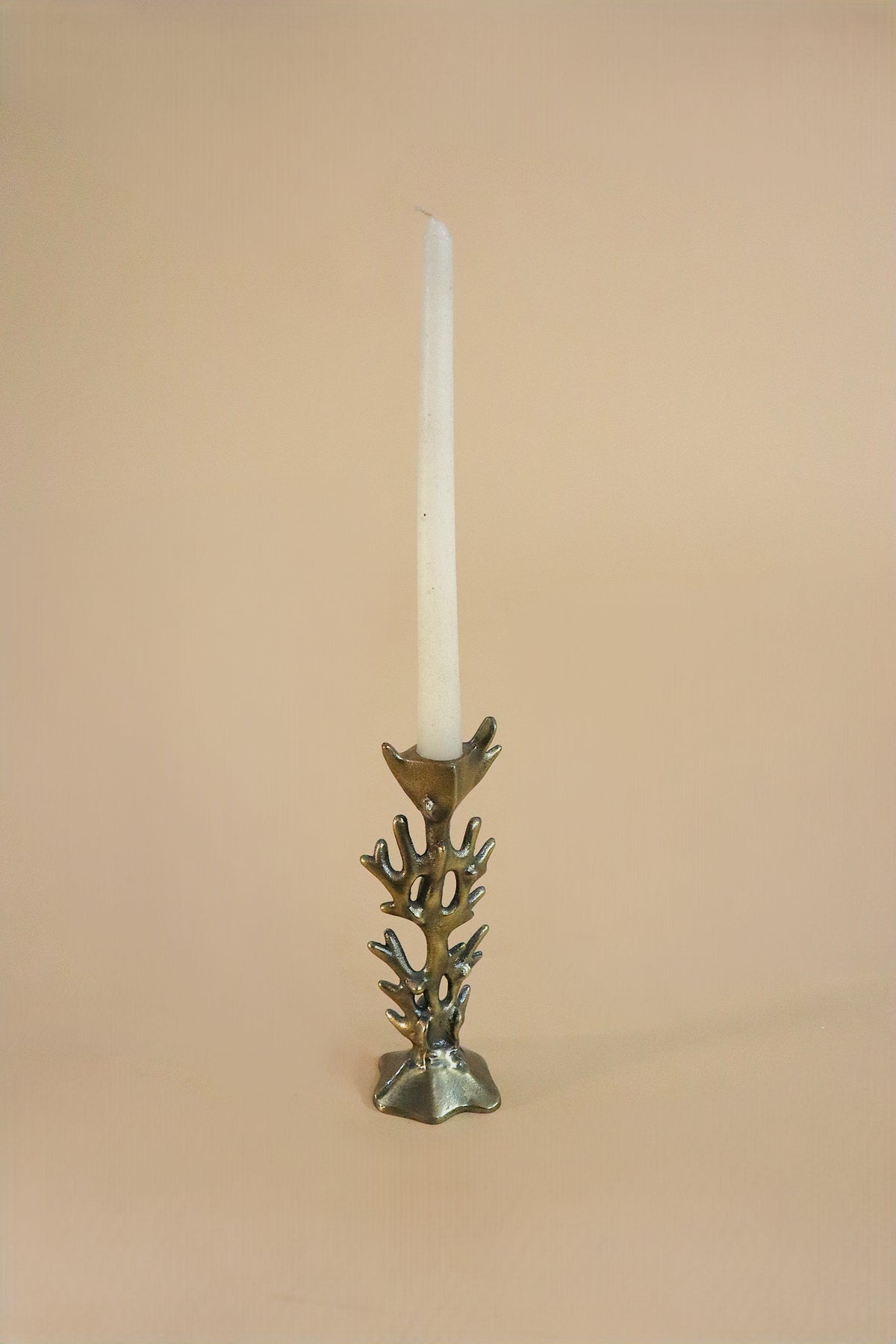 Coral Candle Holder