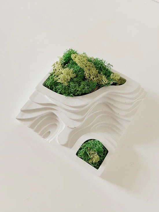 Architecture Planter | Concrete