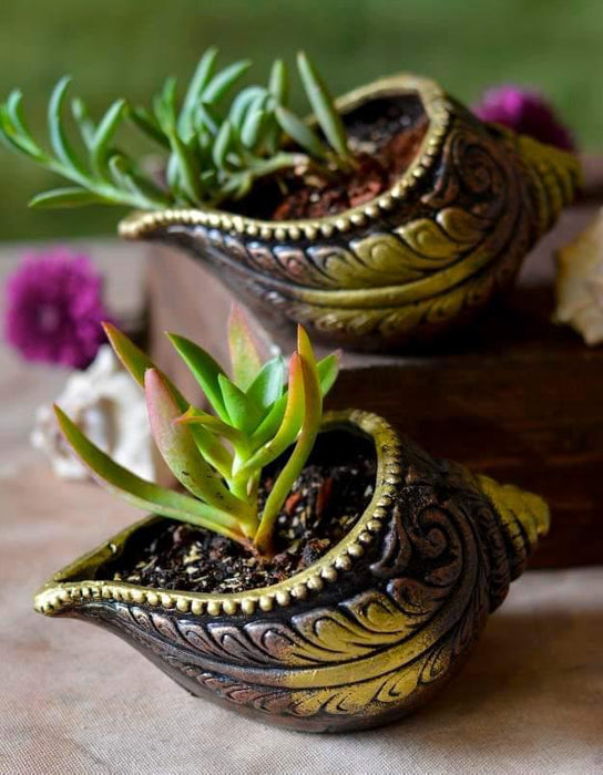 Sankh Planter