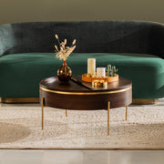 Dali Gold Coffee Table | Wooden Center Table for Living Room | Acacia Wood Tea Table