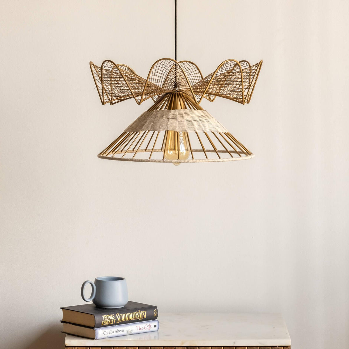 Fucius Ceiling Hanging Light Lamp