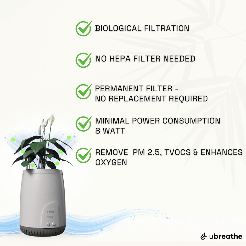 Mini Lite Planter | Compact Air Purifier & Portable Fresh Air System