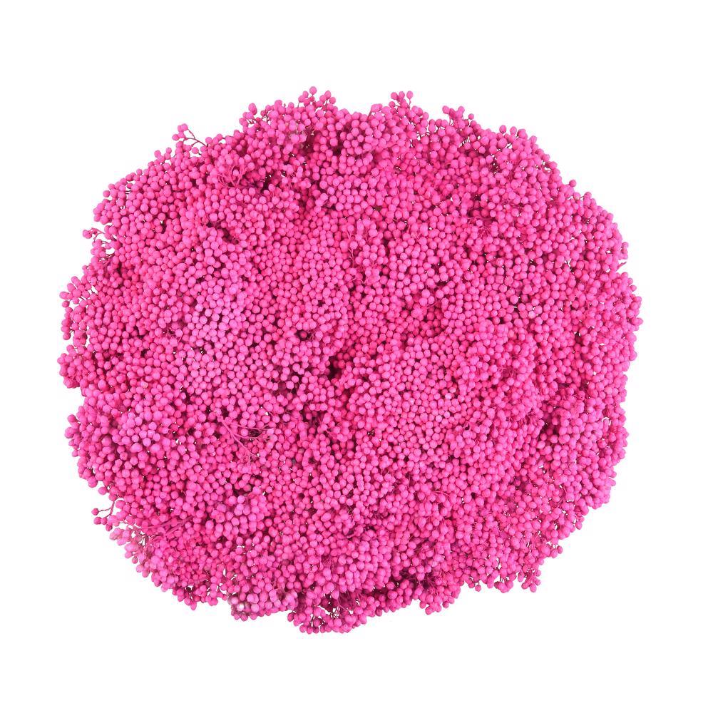 Rice flower