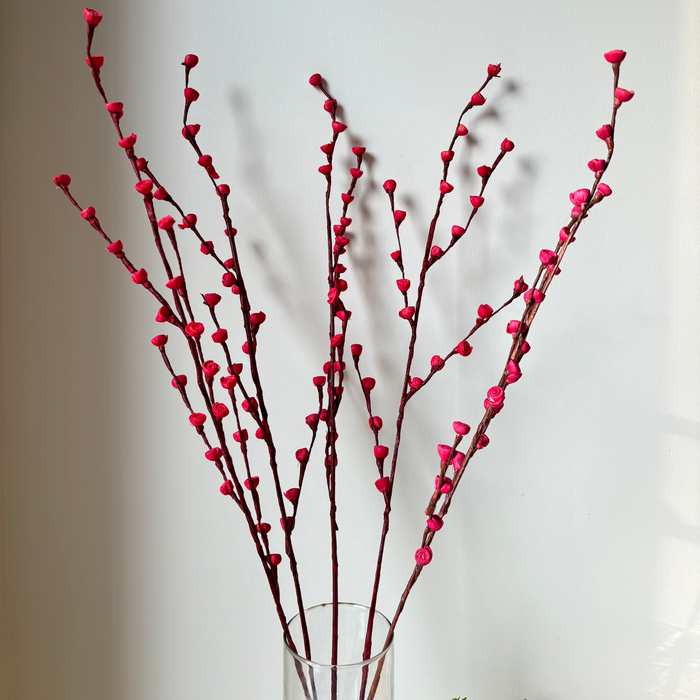 Bud Roses Sticks | Set of 5 sticks