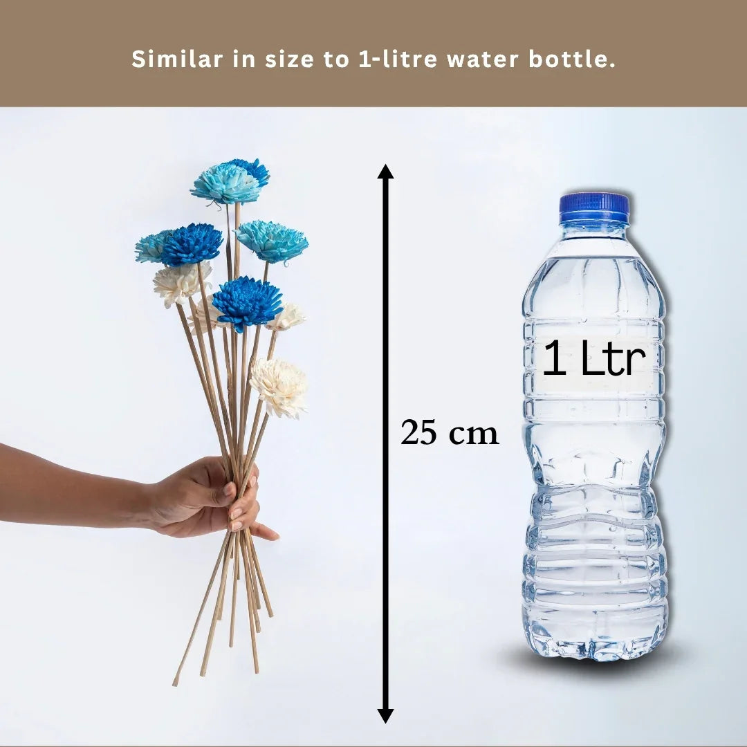 Ziniya - 6 cm | Dark Blue, Sky Blue and White