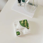 Architecture Planter | Concrete