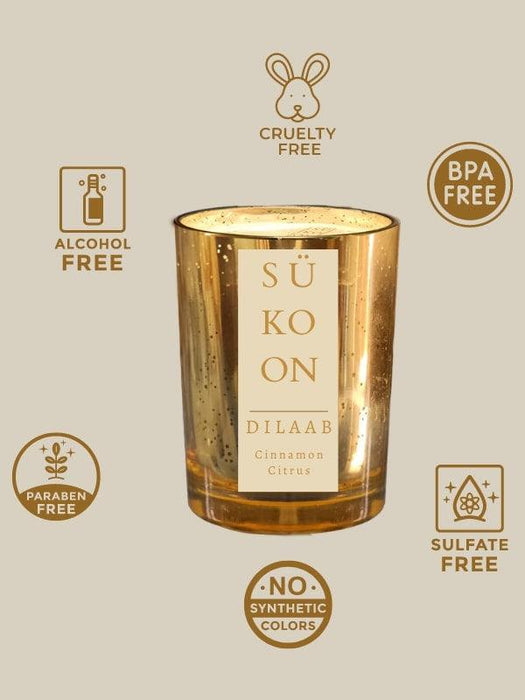 Dilaab Cinnamon Citrus | Scented Soy Wax Candle |  Fragrance Candle for Home Décor