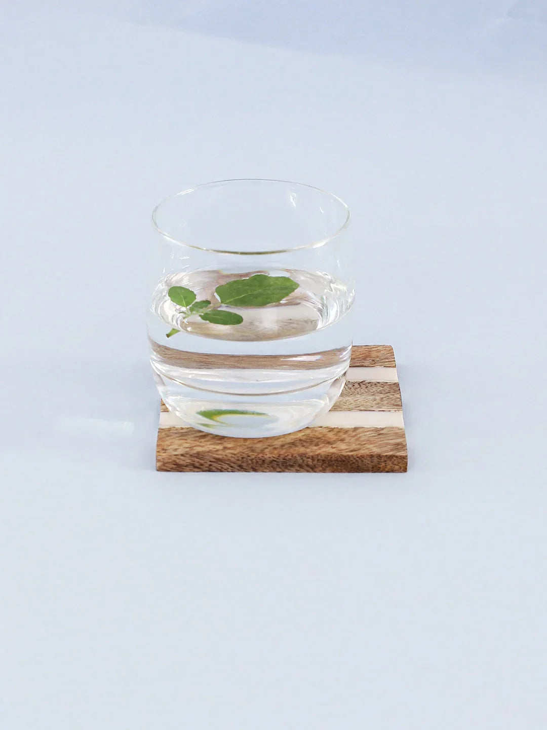 Kavvayi Coasters In Multicolor Colour