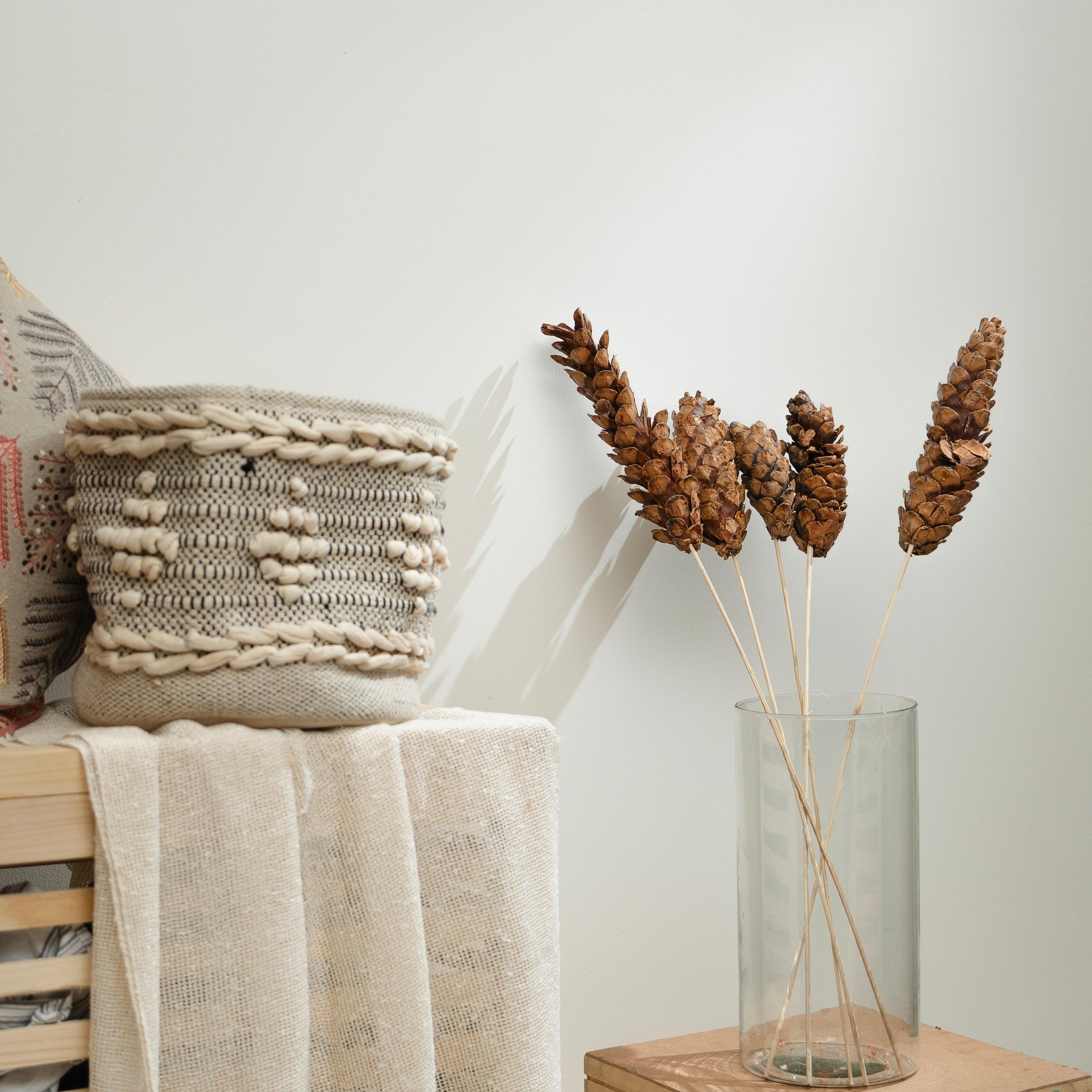 Dried Strobus | Natural