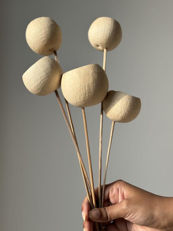 White Bell Cups Dried Flowers Stems | Vase Fillers | Sustainable Home Decor Set of 5 Sticks
