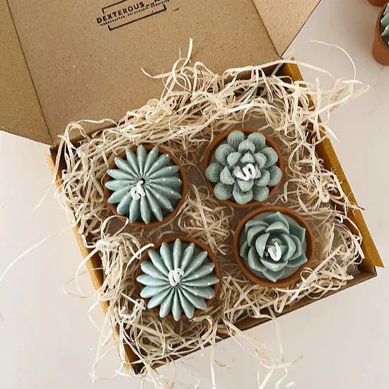 Terracotta Succulent Candle Assorted