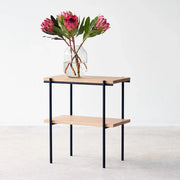 Ethan Mango Wood Side Table for Living Room | Modern Wooden End Table