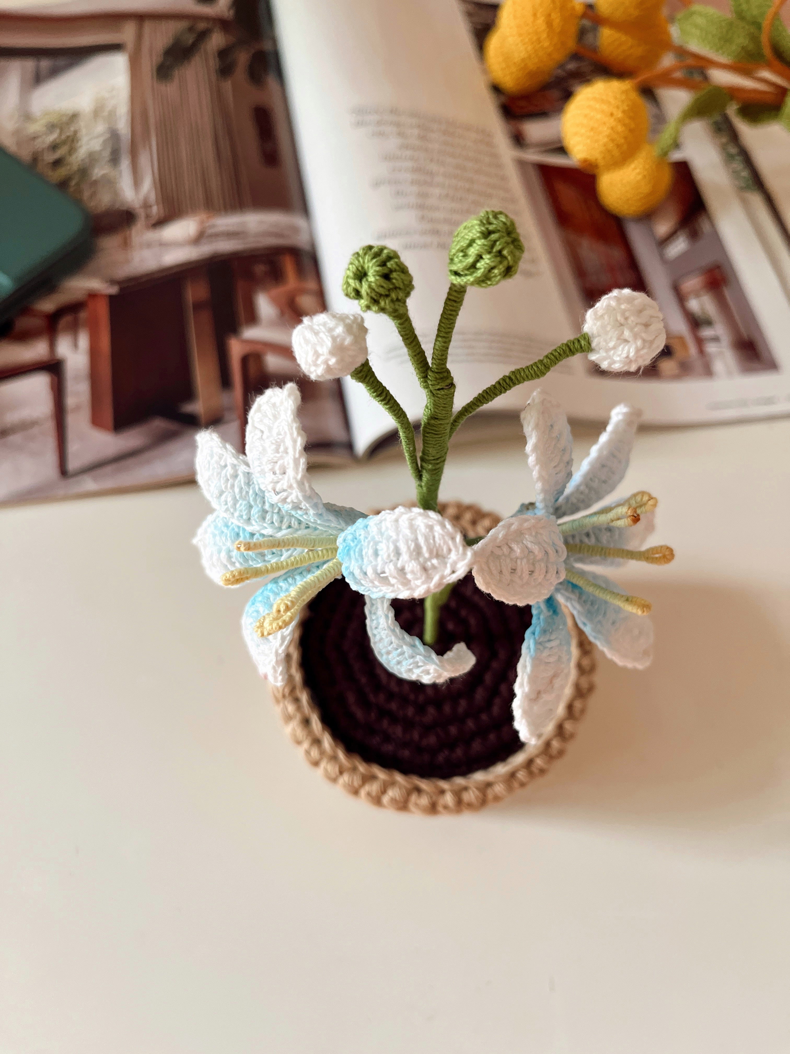 Crochet Lucifer Pot