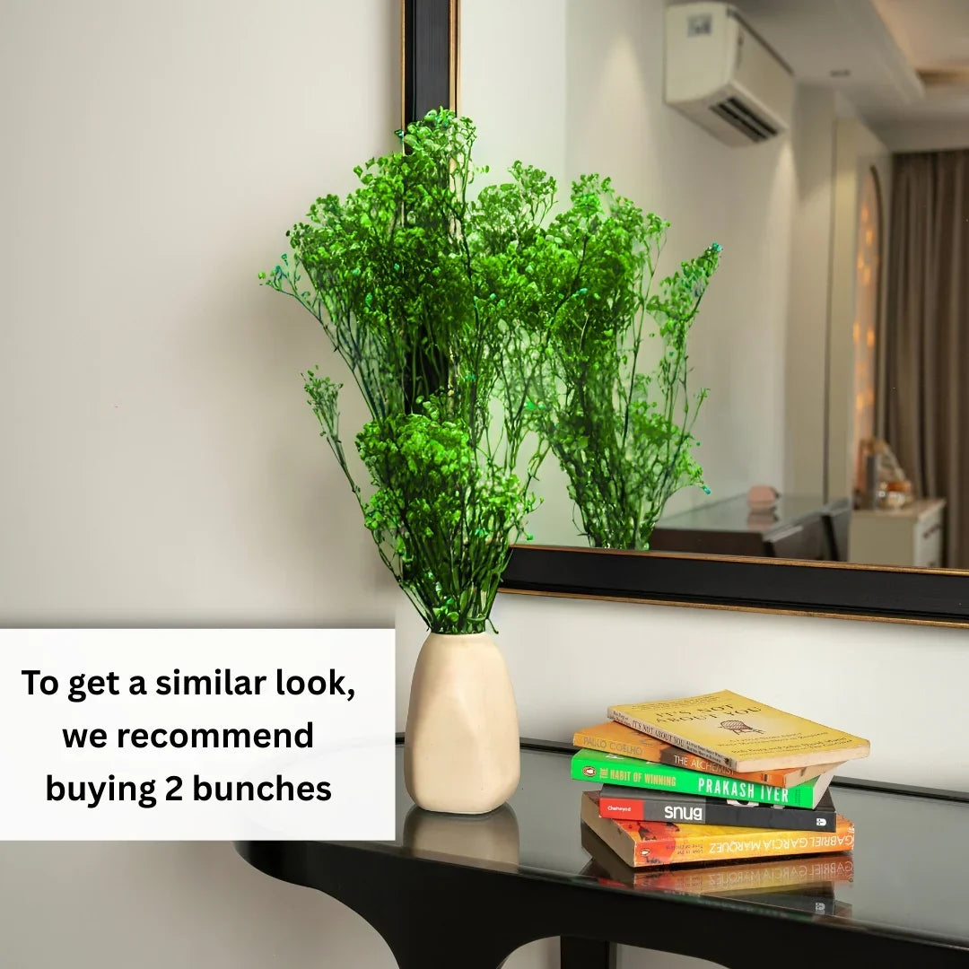 Preserved Baby's Breath