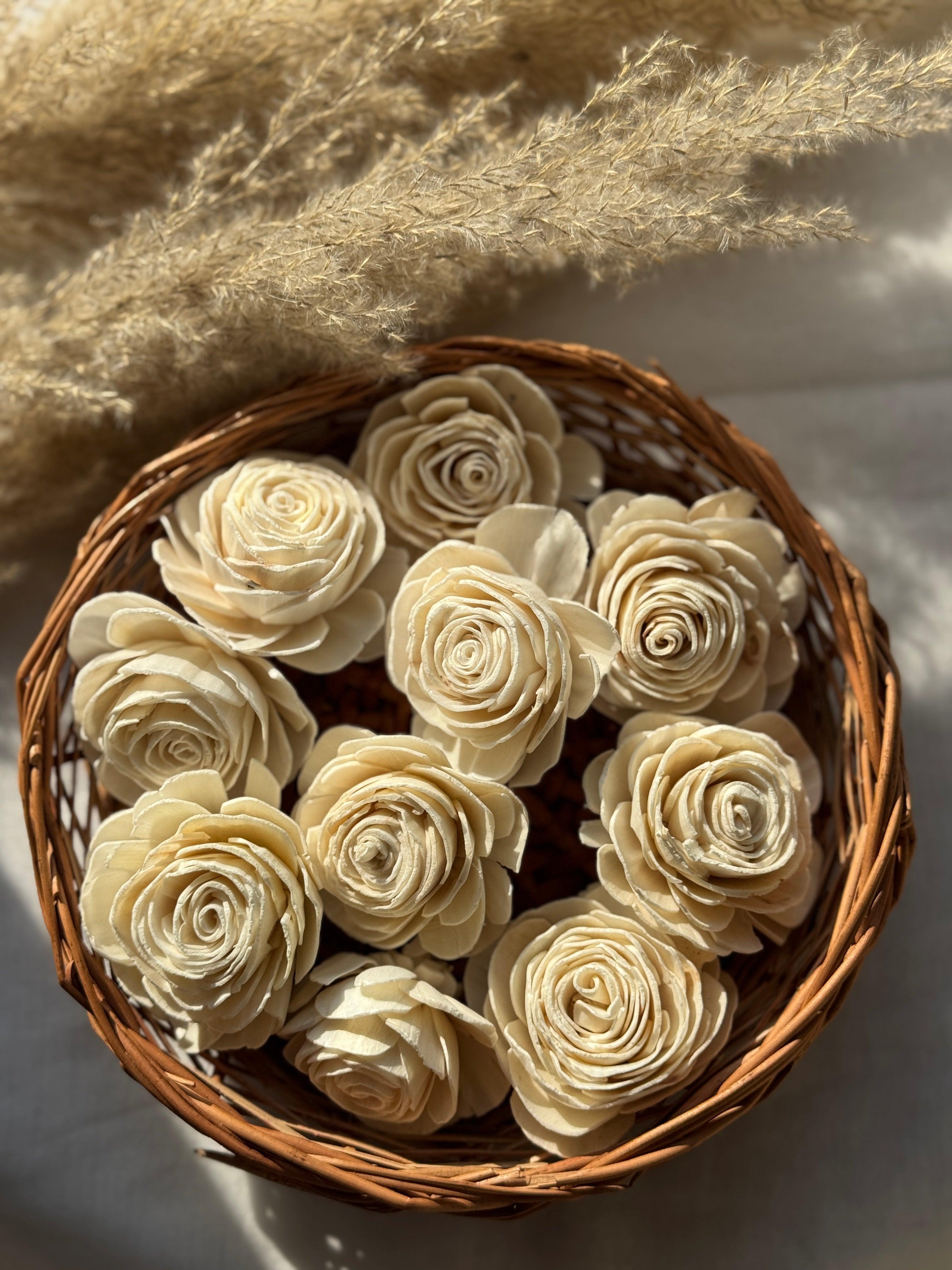 Natural Rose Sola Dried Flower for Home Decor | Vase Fillers - 10 Pcs Set