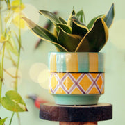 Pastel Diamond Handpainted Ceramic Planter | Multicolor Ceramic Flower Pot for Indoor Plants - 1Pc