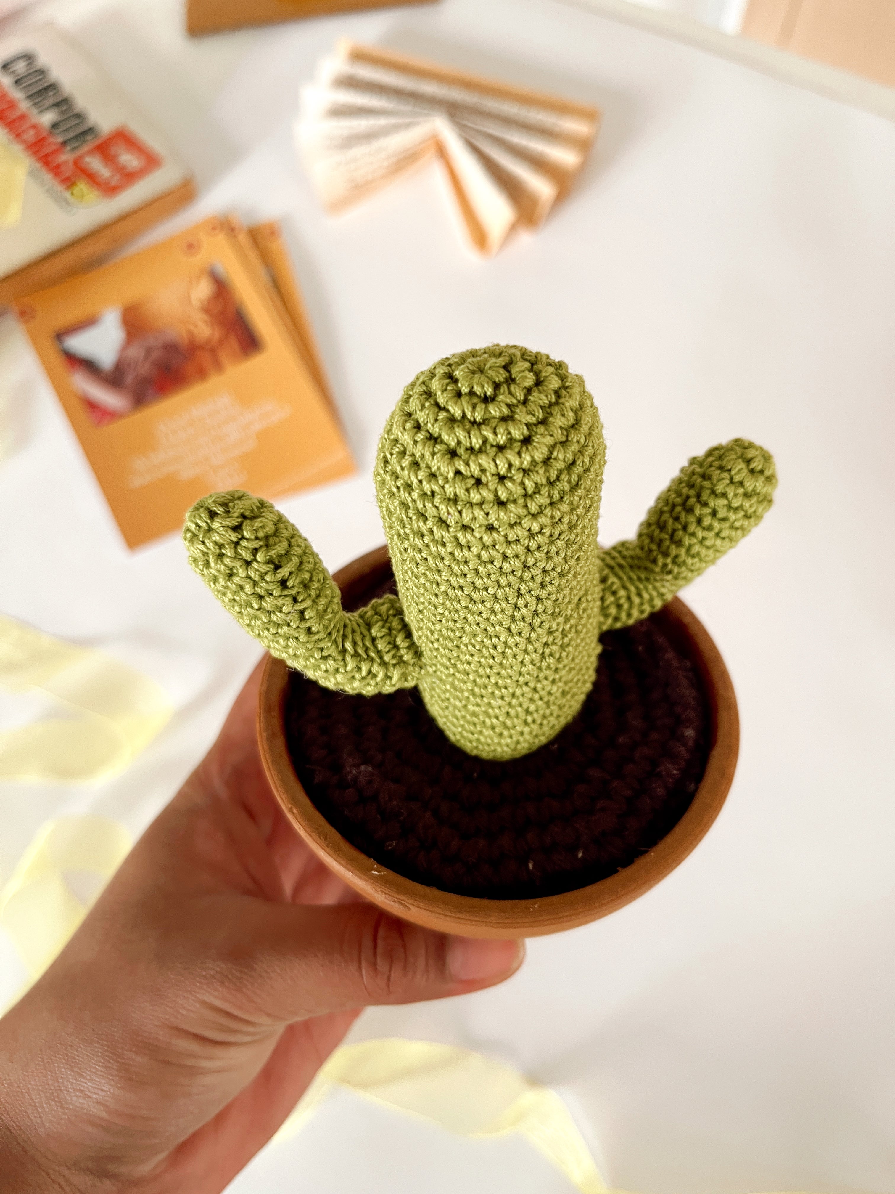 Crochet Terracotta cactus