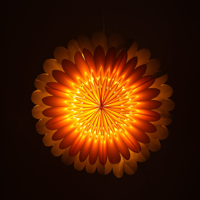 Sunflower Star light