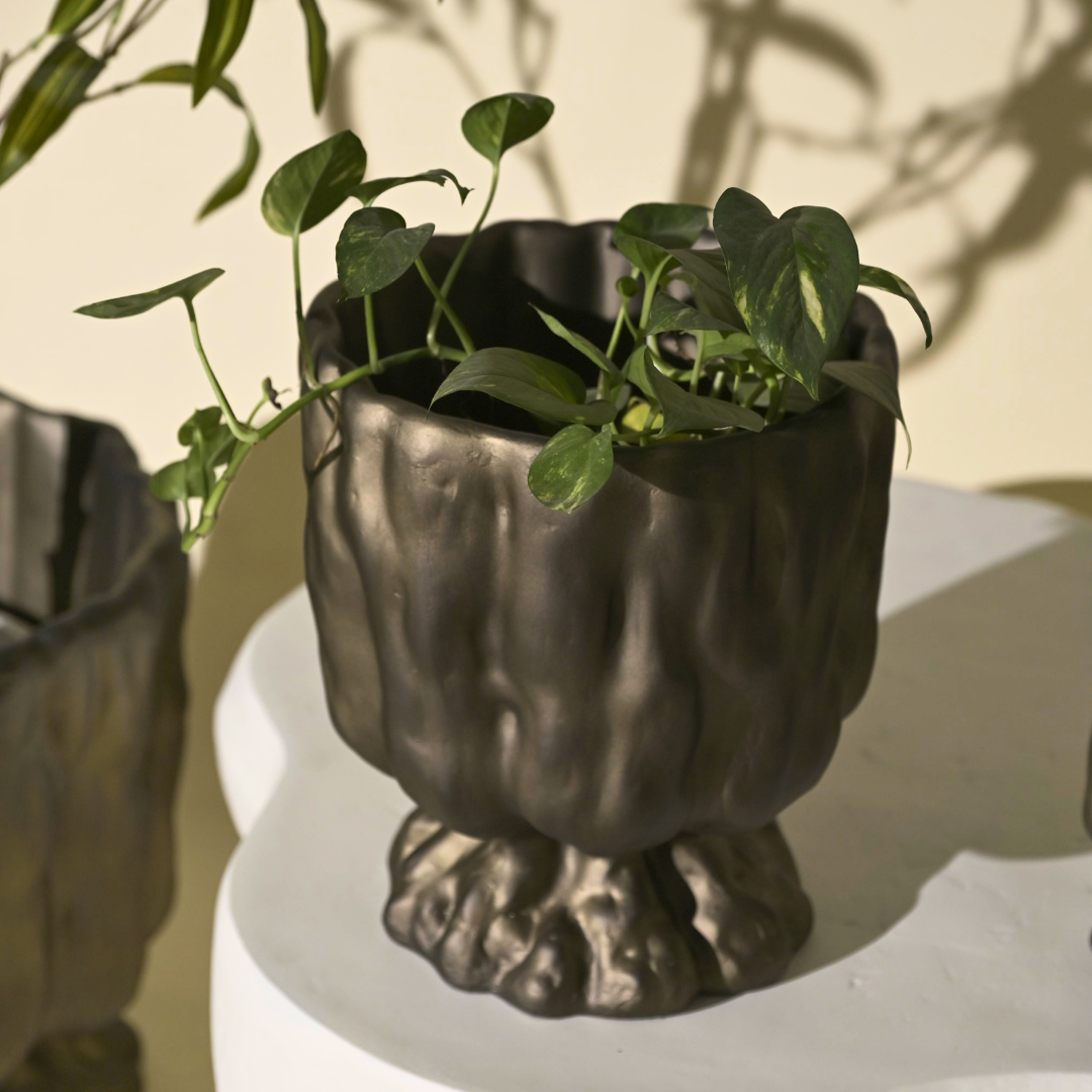 Raya Planter - Bronze Gold