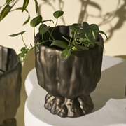 Raya Planter - Bronze Gold